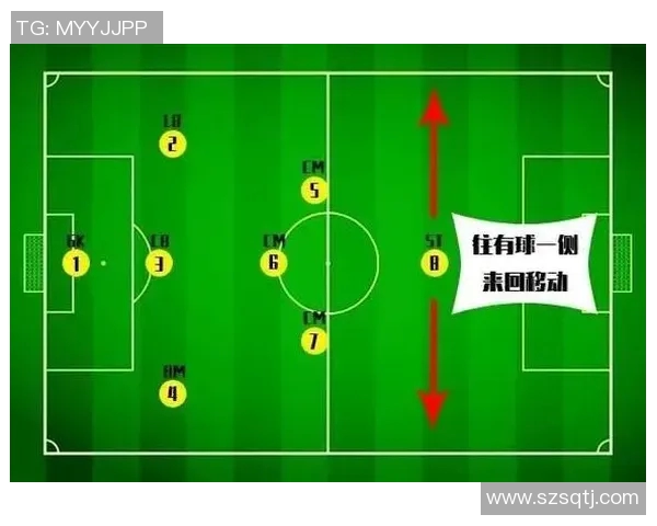 西安羽毛球队的战术调整与成绩变化分析