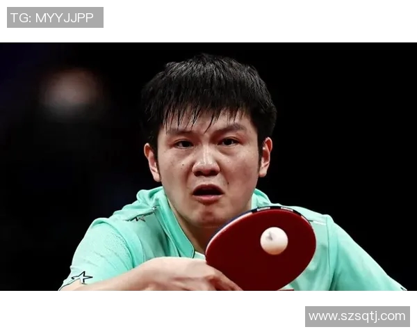 乒乓球的魅力：深入分析杭州乒乓球队员的个人技术与战术能力