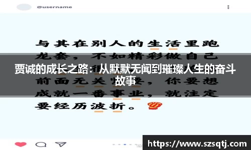 贾诚的成长之路：从默默无闻到璀璨人生的奋斗故事