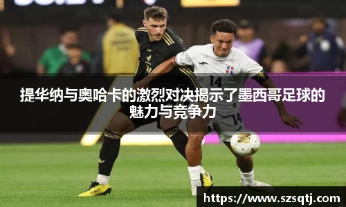 球速体育官网
